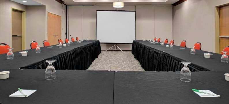 Holiday Inn & Suites 里马(Holiday Inn & Suites LIMA by IHG)图片