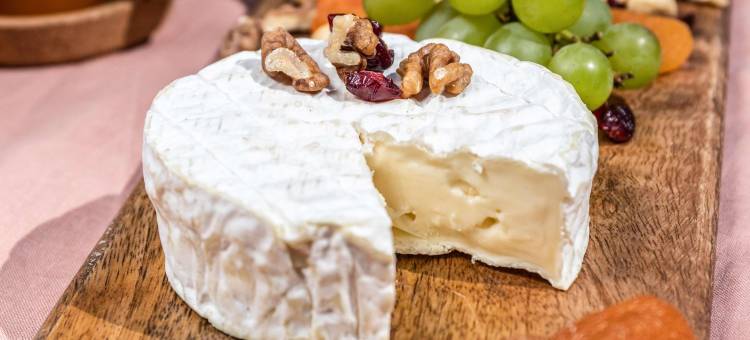 汉诺威市诺富特全套房酒店(Novotel Suites Hannover City)图片