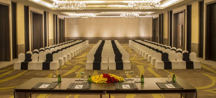 古瓦哈蒂丽笙酒店(Radisson Blu Hotel Guwahati)图片