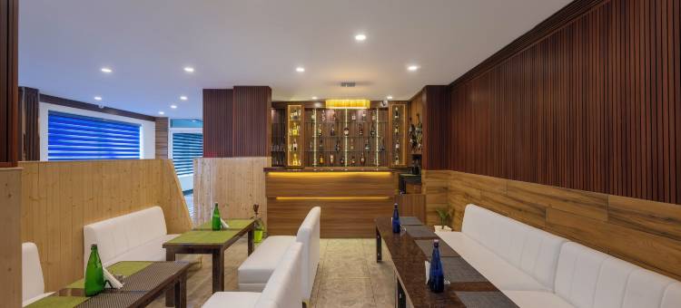 格兰德迎宾酒店(The Grand Welcome Hotel)图片