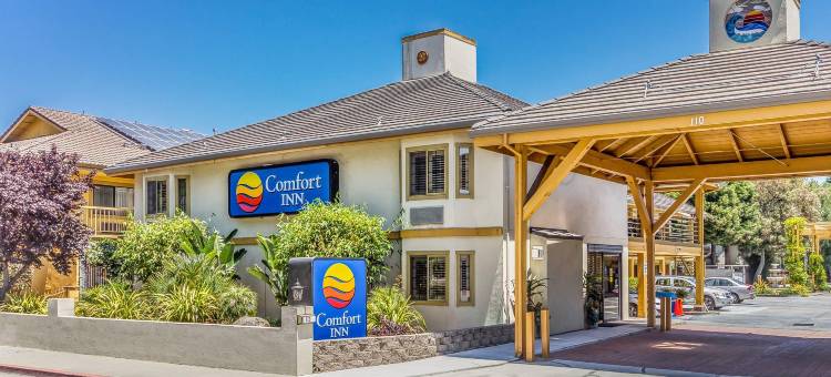 舒适酒店(Comfort Inn)图片