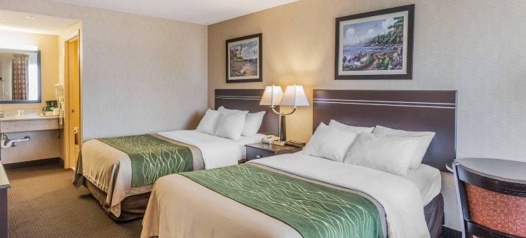 海湾舒适酒店(Comfort Inn on the Bay)图片