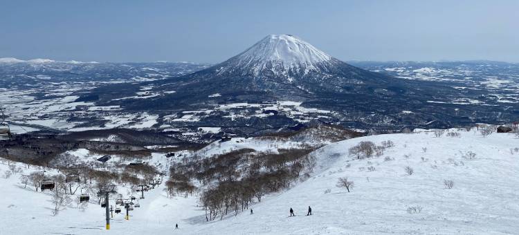 HILLS NISEKO 105图片