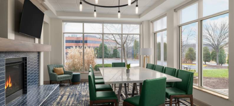 华盛顿哥伦比亚特区格林贝尔特希尔顿花园酒店(Hilton Garden Inn Washington DC/Greenbelt)图片