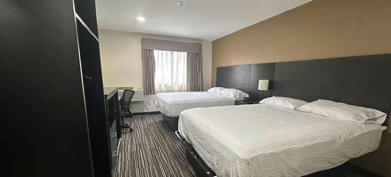 Quality Inn & Suites图片