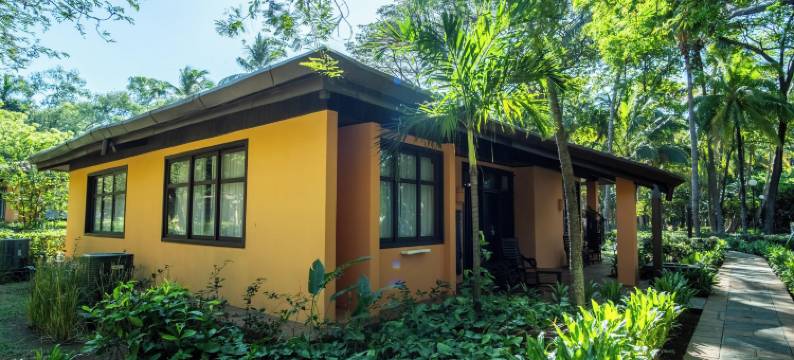 巴塞罗酒店-蒙特利马(Barceló Montelimar All Inclusive)图片