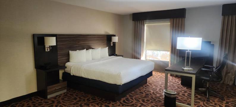 德州米德兰呗盟酒店(Baymont by Wyndham Midland TX)图片