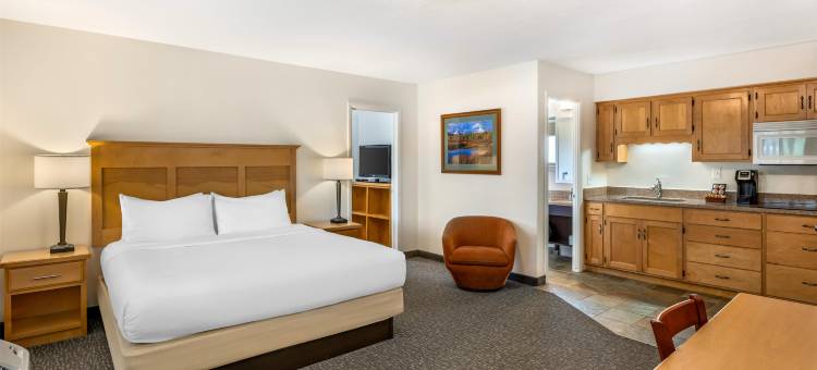浮木贝斯特韦斯特酒店(Best Western Driftwood Inn)图片