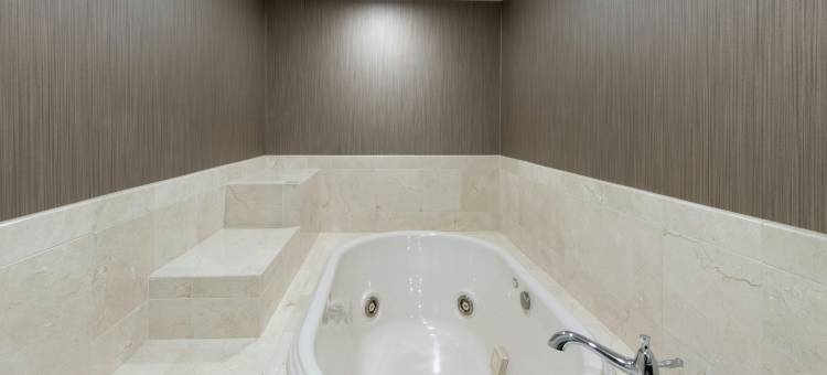 明尼阿波利斯西喜来登酒店(Sheraton Minneapolis West Hotel)图片