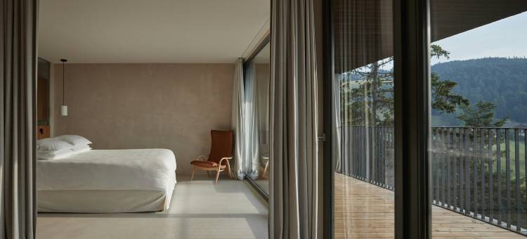 萨尔图斯酒店(Hotel Saltus)图片