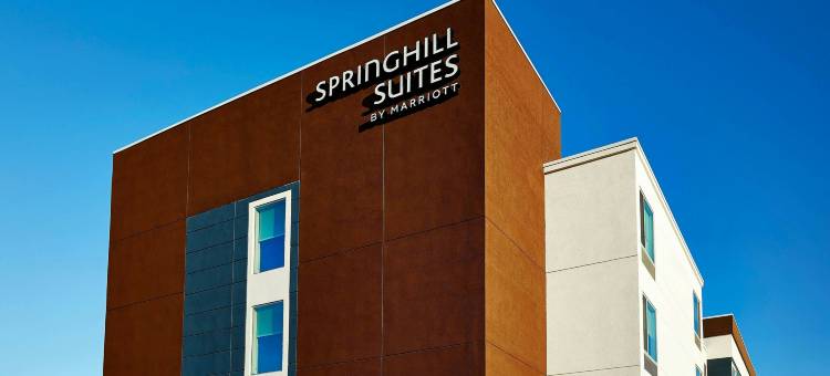 斯普林菲尔德北SpringHill Suites酒店(SpringHill Suites Springfield North)图片