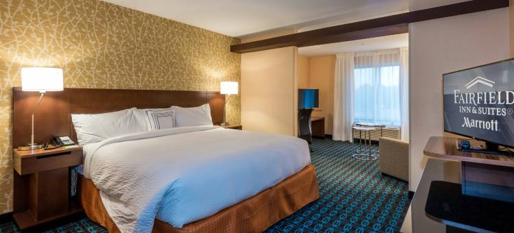恩特普赖斯万枫酒店及套房(Fairfield Inn & Suites Enterprise)图片
