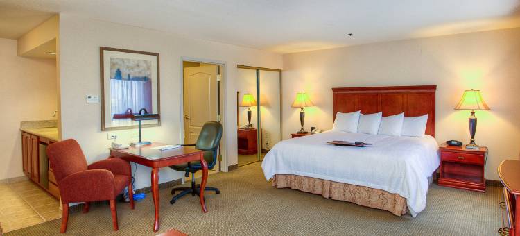 希尔顿欢朋套房酒店-芒廷霍姆(Hampton Inn & Suites Mountain Home)图片