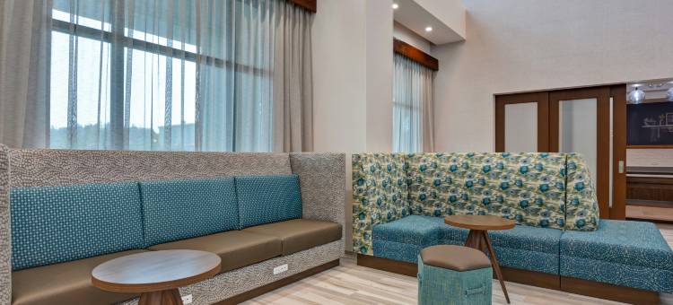 坦帕河景布兰登希尔顿欢朋套房酒店(Hampton Inn & Suites Tampa Riverview Brandon)图片