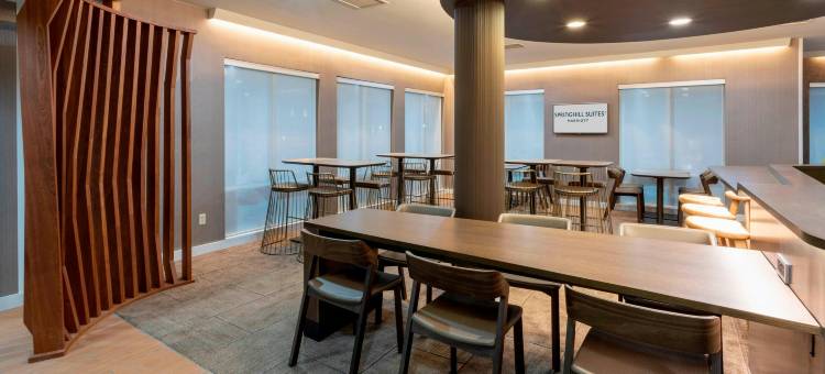 罗切斯特梅奥医学中心／圣玛丽医院万豪SpringHill酒店(SpringHill Suites Rochester Mayo Clinic Area/Saint Marys)图片