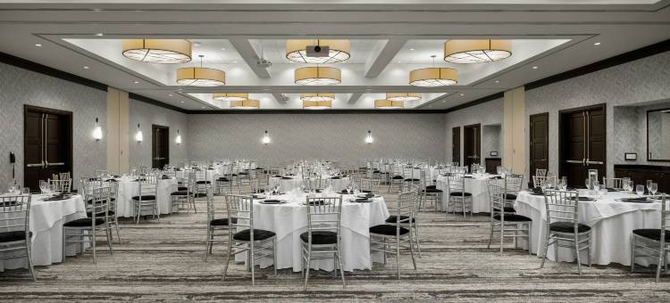 弗吉尼亚州斯普林菲尔德希尔顿安泊酒店(Embassy Suites by Hilton Springfield)图片
