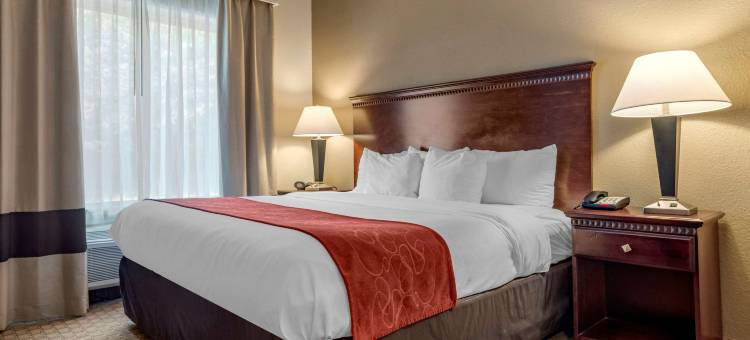 拜洛希海洋温泉舒适套房酒店(Comfort Suites Biloxi/Ocean Springs)图片