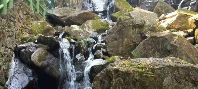 安吉吾心安处民宿图片