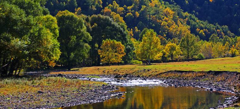 扎兰屯柴河同心旅馆图片