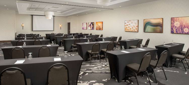 夏洛特机场希尔顿花园酒店(Hilton Garden Inn Charlotte Airport)图片