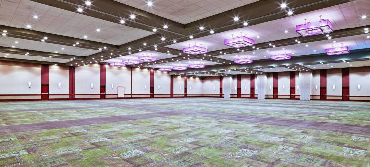 朗伯德约克敦中心威斯汀酒店(The Westin Chicago Lombard)图片