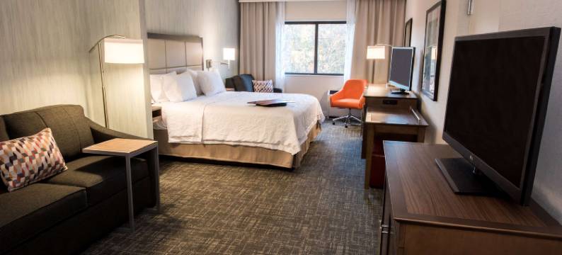 奥尔巴尼西大街大学区欢朋酒店(Hampton Inn Albany-Western Ave/University Area)图片