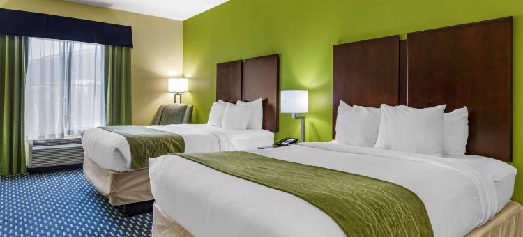 雅典舒适酒店(Comfort Inn Athens I - 75)图片
