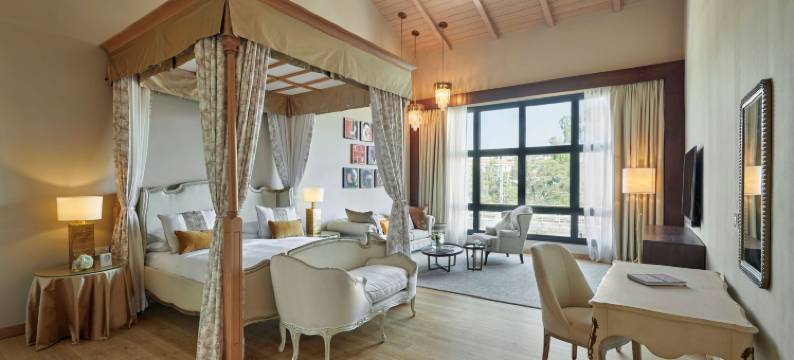 亚的斯亚贝巴巴凯悦酒店(Hyatt Regency Addis Ababa)图片