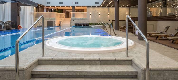 圣彼得堡国际展览中心希尔顿酒店(Hilton Saint Petersburg Expoforum Hotel)图片