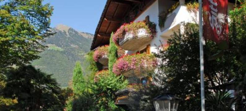 斯特耐尔霍夫酒店(Hotel Sittnerhof)图片