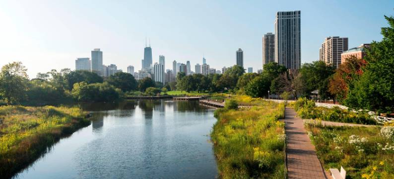 丽思卡尔顿酒店，芝加哥(The Ritz-Carlton, Chicago)图片