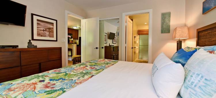 Aina Nalu A104图片