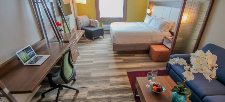 迈阿密机场东套房智选假日酒店(Holiday Inn Express & Suites Miami Airport East)图片