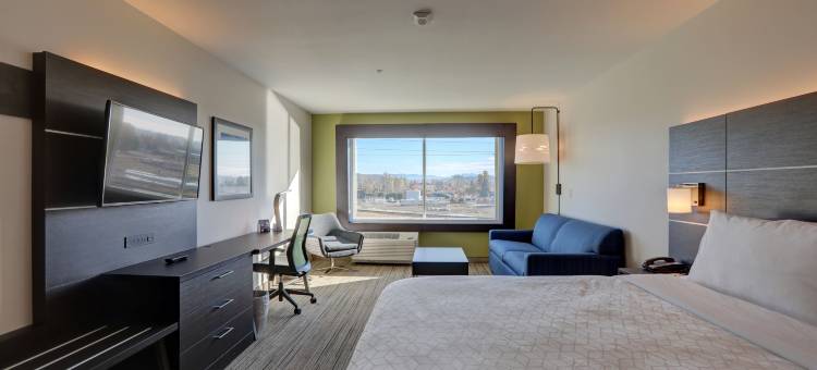 奥本市中心智选假日套房酒店(Holiday Inn Express & Suites Auburn Downtown)图片