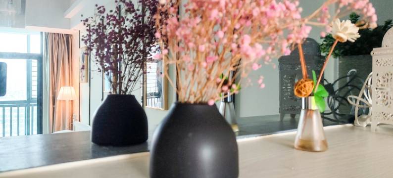 巢屿公寓(大湖山路2号分店)图片