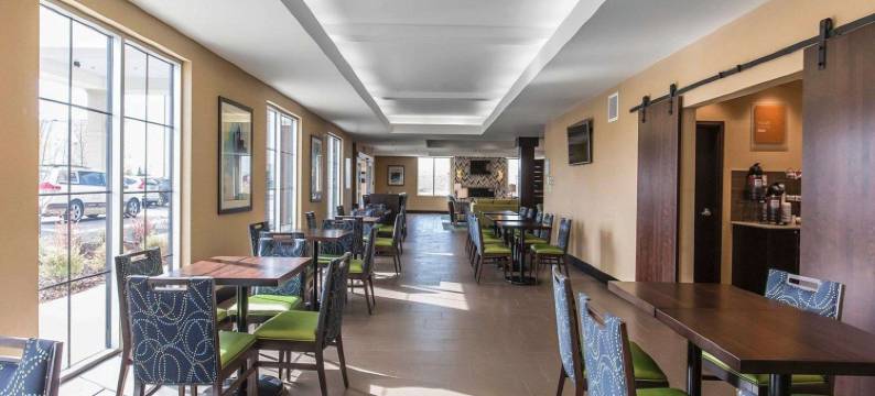 舒适酒店及套房-机场北(Comfort Inn & Suites Airport North)图片