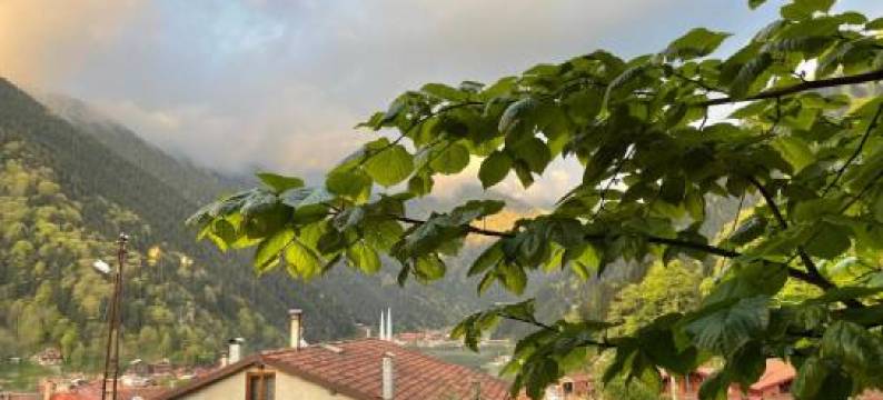 法拉伊公寓(Falay Pansiyon)图片