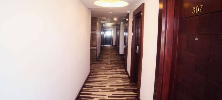 贝纳拉斯舒适酒店(Comfort Inn Benares)图片