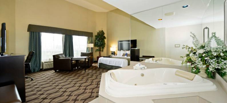 多伦多机场旅行贝斯特韦斯特优质酒店(Best Western Plus Travel Hotel Toronto Airport)图片