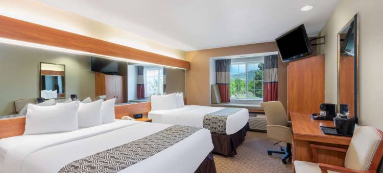 拉顿麦客达套房酒店(Microtel Inn & Suites by Wyndham Raton)图片