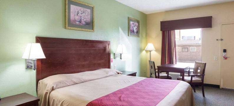 新奥尔良根特利罗德威酒店及套房(Rodeway Inn & Suites New Orleans Gentilly)图片