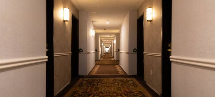 Wingate by Wyndham DFW / North Irving图片