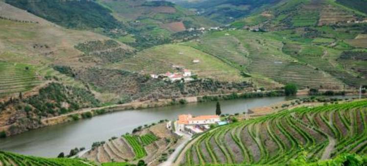 多佩哥乡村酒店(Hotel Rural Quinta Do Pego)图片