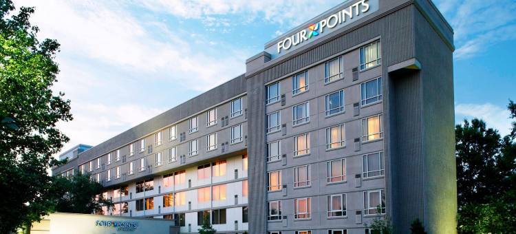 Four Points by Sheraton Charlotte Airport图片