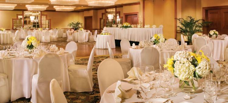 温斯顿塞勒姆希尔顿安泊酒店-(Embassy Suites by Hilton Winston Salem)图片