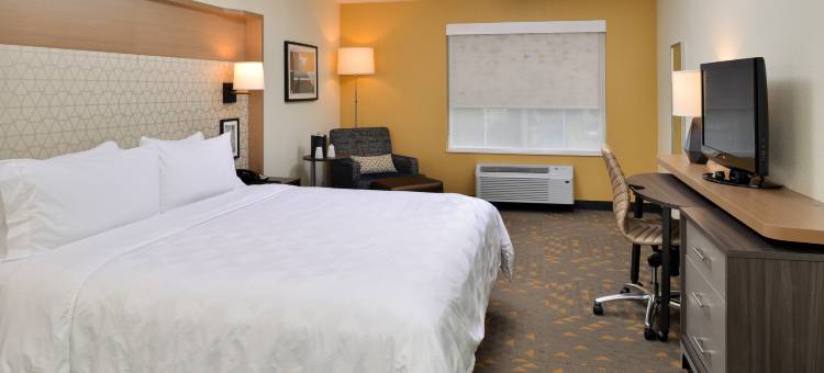 Holiday Inn & Suites 奥佛兰公园CONV点击率(Holiday Inn & Suites Overland Park-Conv Ctr)图片