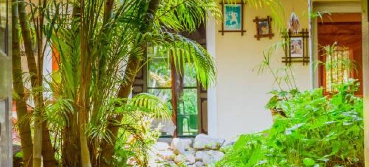 夏米宾馆(Shammie Guest House)图片