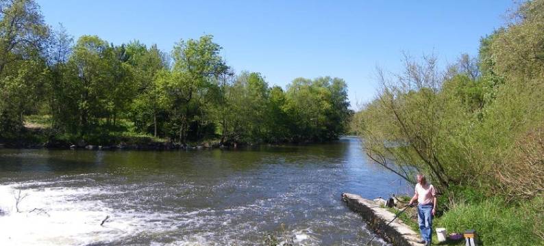 Camping du Moulin图片