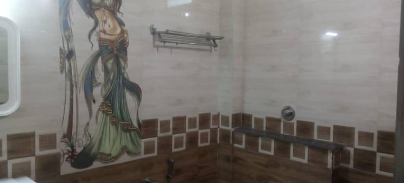 萨曼维国际酒店(Hotel Samanvi International)图片