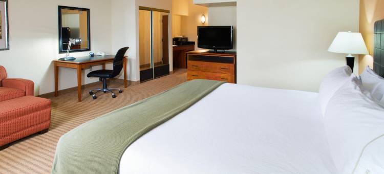 智选假日套房酒店欧文DFW机场北(Holiday Inn Express & Suites Irving DFW Airport North)图片